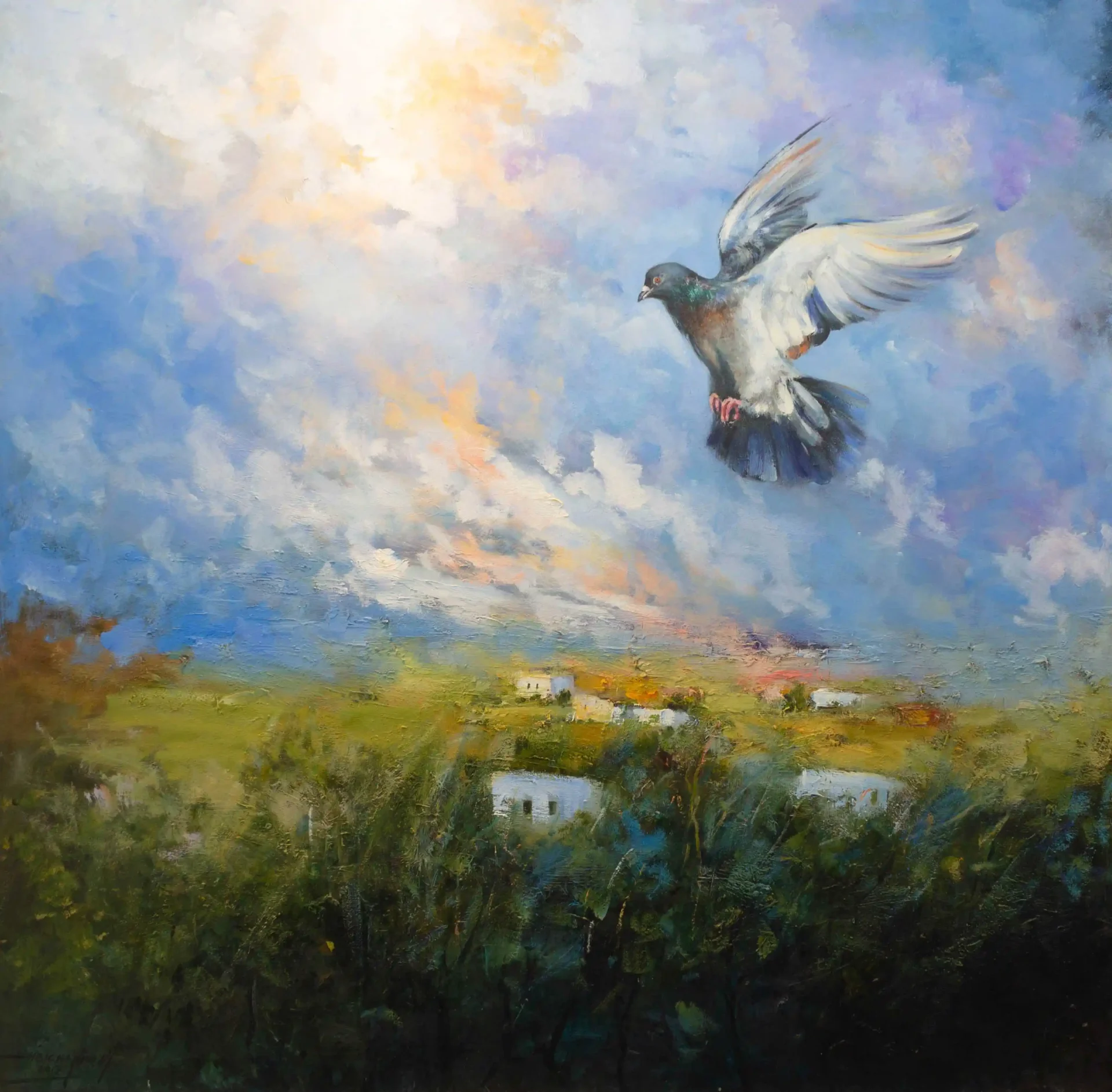 colombe