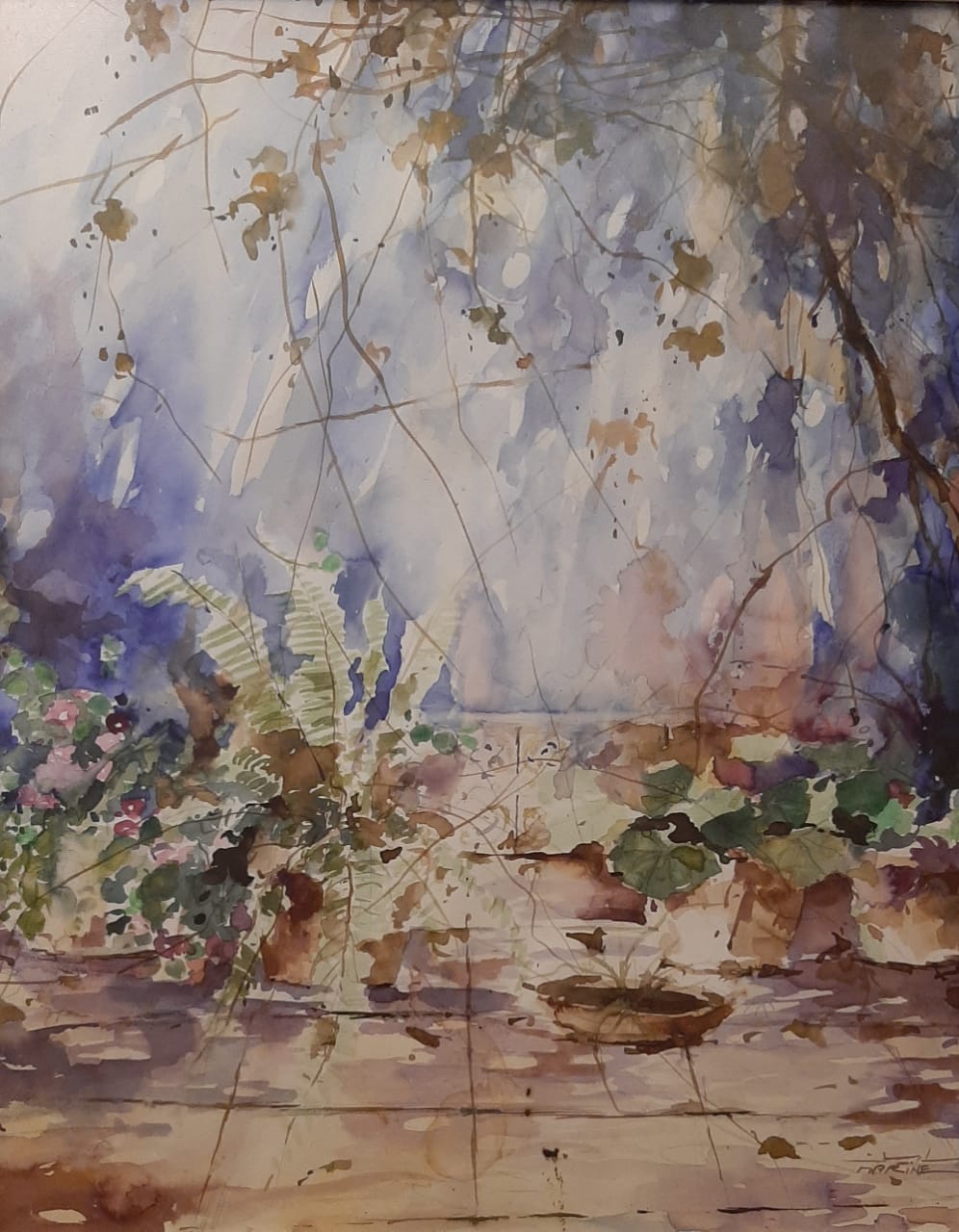 patio