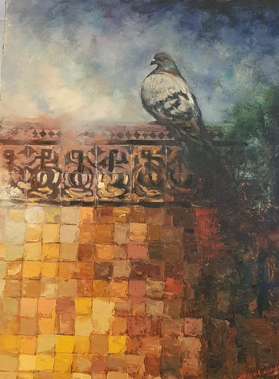 colombe-i